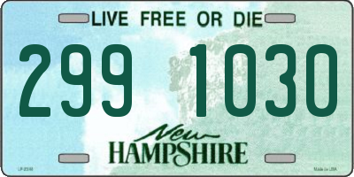 NH license plate 2991030