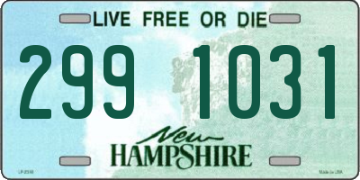 NH license plate 2991031