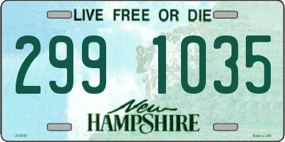 NH license plate 2991035