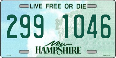 NH license plate 2991046