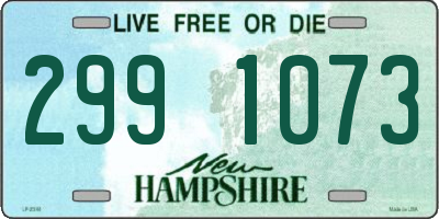 NH license plate 2991073