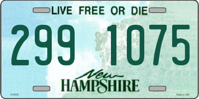 NH license plate 2991075