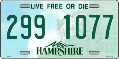NH license plate 2991077