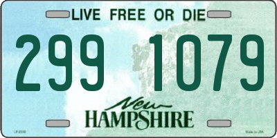NH license plate 2991079