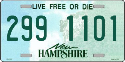NH license plate 2991101