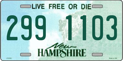 NH license plate 2991103