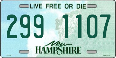 NH license plate 2991107