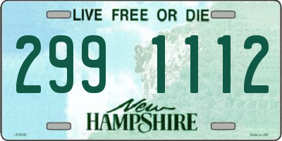 NH license plate 2991112