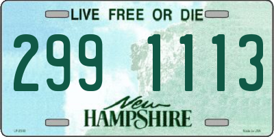 NH license plate 2991113