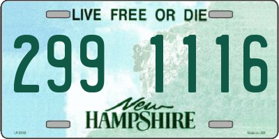 NH license plate 2991116