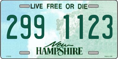 NH license plate 2991123