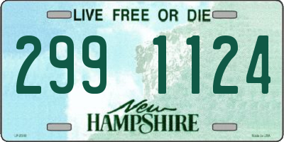 NH license plate 2991124