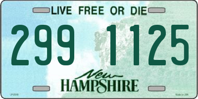 NH license plate 2991125