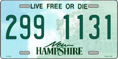 NH license plate 2991131