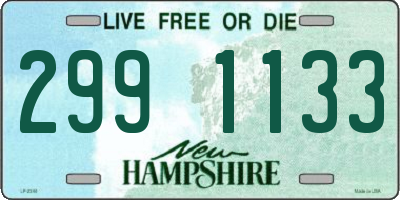 NH license plate 2991133