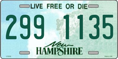 NH license plate 2991135