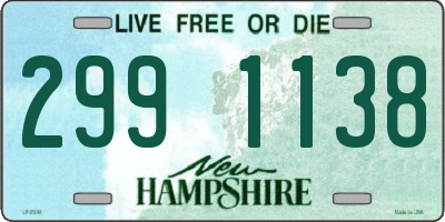 NH license plate 2991138