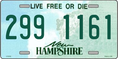 NH license plate 2991161