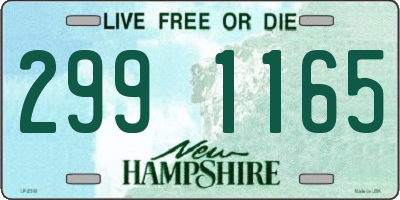 NH license plate 2991165