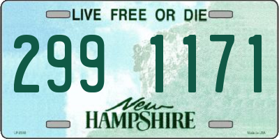 NH license plate 2991171