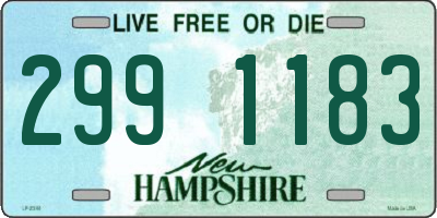 NH license plate 2991183