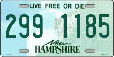 NH license plate 2991185