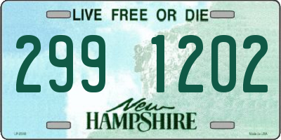 NH license plate 2991202