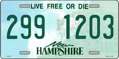 NH license plate 2991203