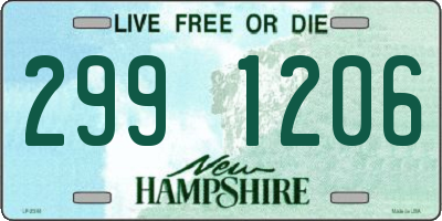 NH license plate 2991206
