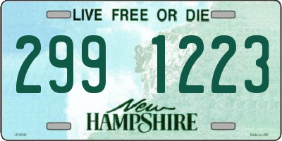 NH license plate 2991223