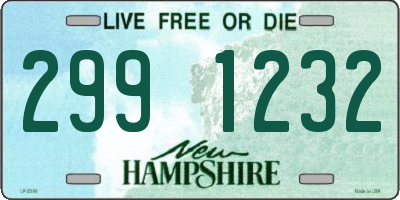 NH license plate 2991232