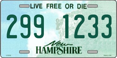 NH license plate 2991233