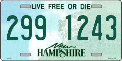 NH license plate 2991243