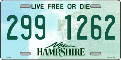 NH license plate 2991262