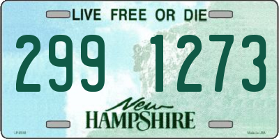 NH license plate 2991273