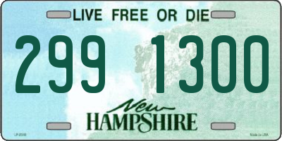 NH license plate 2991300