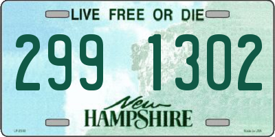 NH license plate 2991302