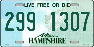 NH license plate 2991307