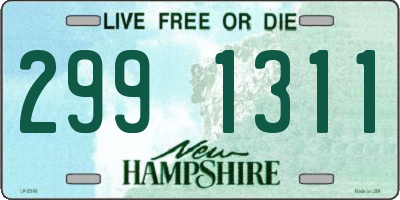 NH license plate 2991311