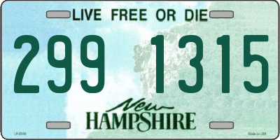 NH license plate 2991315