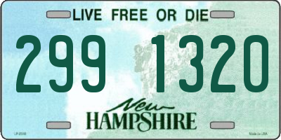 NH license plate 2991320