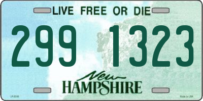 NH license plate 2991323