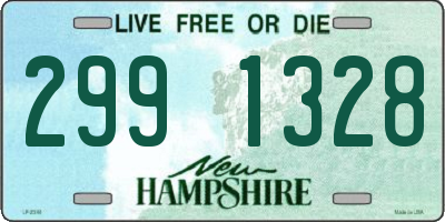 NH license plate 2991328