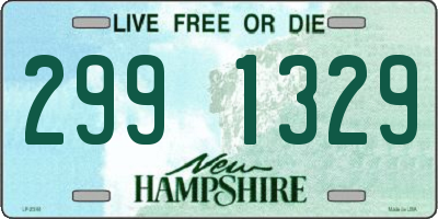 NH license plate 2991329