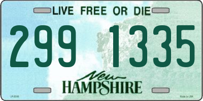 NH license plate 2991335