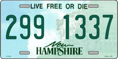 NH license plate 2991337