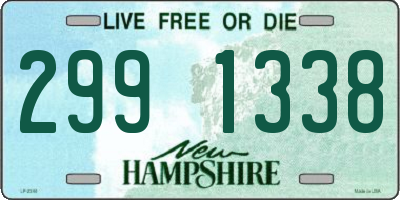 NH license plate 2991338