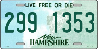 NH license plate 2991353