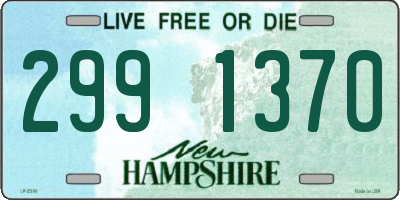 NH license plate 2991370