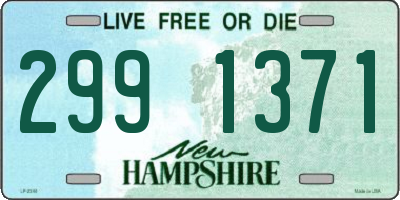 NH license plate 2991371